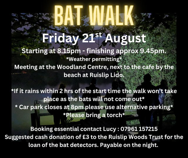 bat walk 21st aug